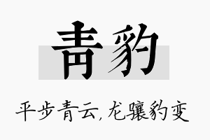 青豹名字的寓意及含义