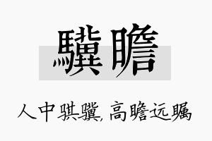 骥瞻名字的寓意及含义