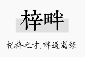 梓畔名字的寓意及含义