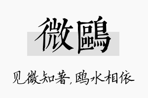 微鸥名字的寓意及含义