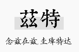 兹特名字的寓意及含义