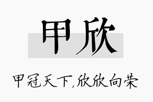 甲欣名字的寓意及含义