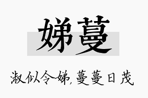 娣蔓名字的寓意及含义