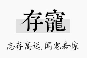 存宠名字的寓意及含义