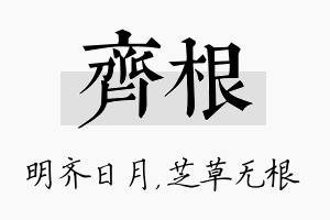 齐根名字的寓意及含义