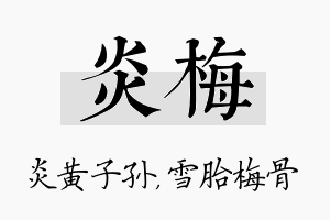 炎梅名字的寓意及含义