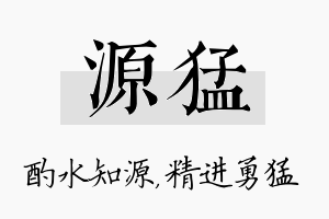 源猛名字的寓意及含义