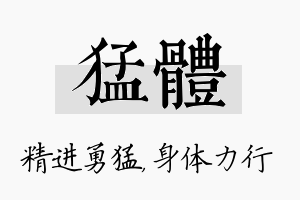 猛体名字的寓意及含义