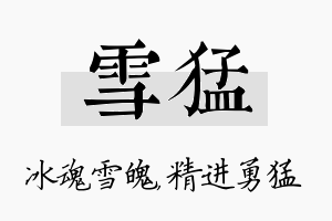 雪猛名字的寓意及含义