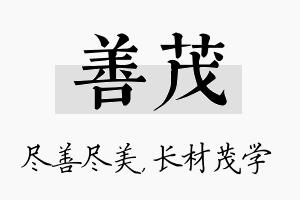 善茂名字的寓意及含义