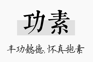 功素名字的寓意及含义