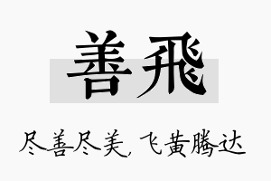 善飞名字的寓意及含义