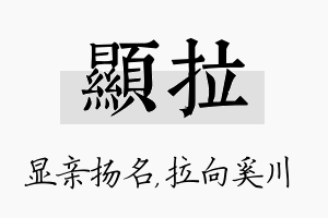 显拉名字的寓意及含义