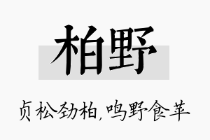 柏野名字的寓意及含义