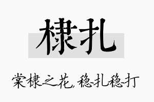 棣扎名字的寓意及含义