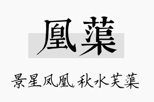 凰蕖名字的寓意及含义