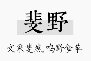 斐野名字的寓意及含义