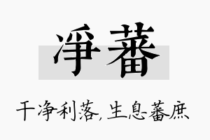 净蕃名字的寓意及含义