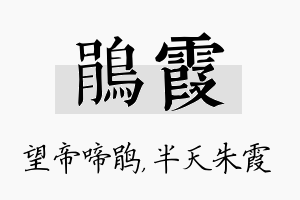 鹃霞名字的寓意及含义