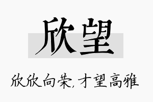 欣望名字的寓意及含义