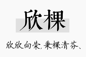 欣棵名字的寓意及含义