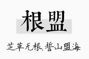 根盟名字的寓意及含义