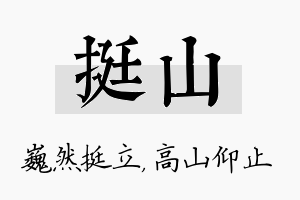 挺山名字的寓意及含义