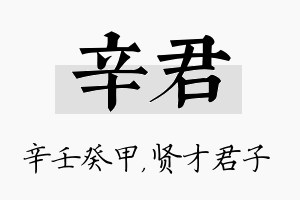 辛君名字的寓意及含义