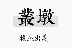 丛墩名字的寓意及含义