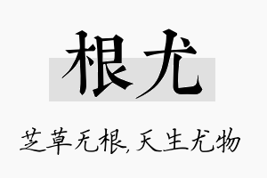 根尤名字的寓意及含义