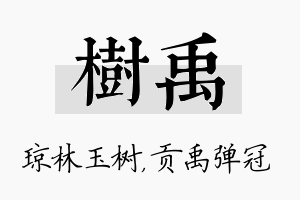 树禹名字的寓意及含义