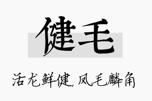 健毛名字的寓意及含义