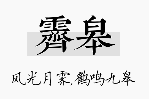 霁皋名字的寓意及含义