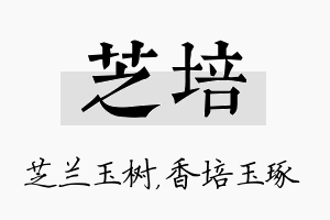 芝培名字的寓意及含义