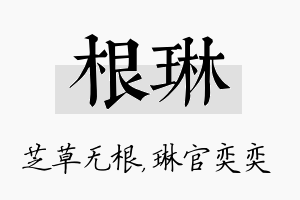 根琳名字的寓意及含义