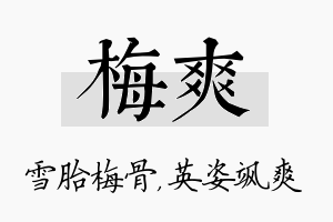 梅爽名字的寓意及含义