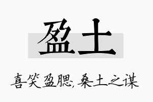 盈土名字的寓意及含义