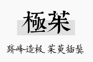 极茱名字的寓意及含义