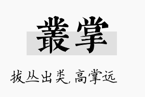 丛掌名字的寓意及含义