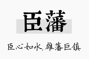 臣藩名字的寓意及含义