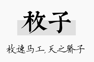 枚子名字的寓意及含义