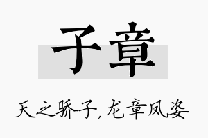 子章名字的寓意及含义