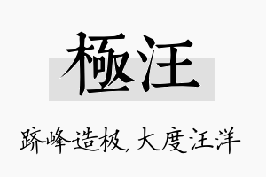 极汪名字的寓意及含义