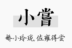 小尝名字的寓意及含义