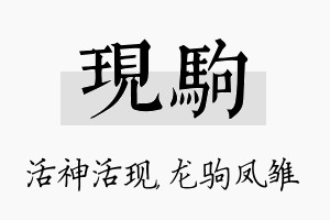 现驹名字的寓意及含义