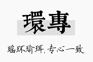 环专名字的寓意及含义