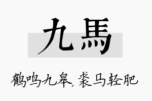 九马名字的寓意及含义