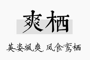 爽栖名字的寓意及含义