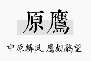 原鹰名字的寓意及含义