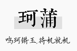 珂蒲名字的寓意及含义